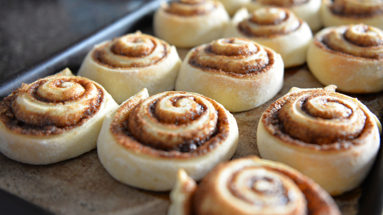 cinnamon rolls on a tray fresh out of the oven