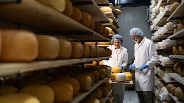 Cheeses aging on shelf