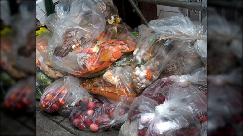 Clear garbage bags full of vegetables on curb.