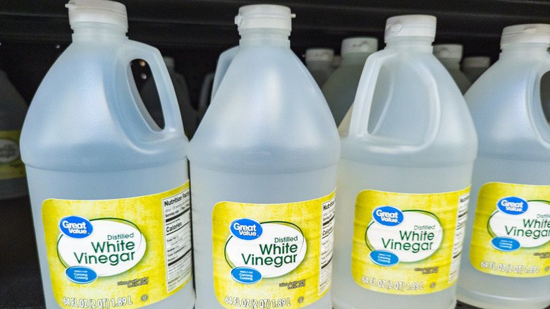 Bottles of distilled white vinegar on a shelf