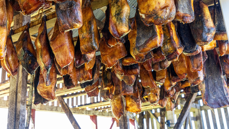 Yellowish-brown pieces of fermented shark meat, hanging from wood to air dry